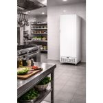 Armoire Réfrigérée Positive 455Litres - AFI Collin Lucy – Image 2