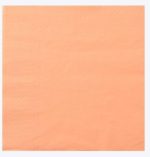 Serviette Ouate 20x20 cm Mandarine Ecolabell - Lot de 3 Colis de 1800 - Manufacture De L'Ephemere – Image 2