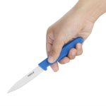 Couteau d'Office Professionnel Bleu 75 mm - Hygiplas – Image 2