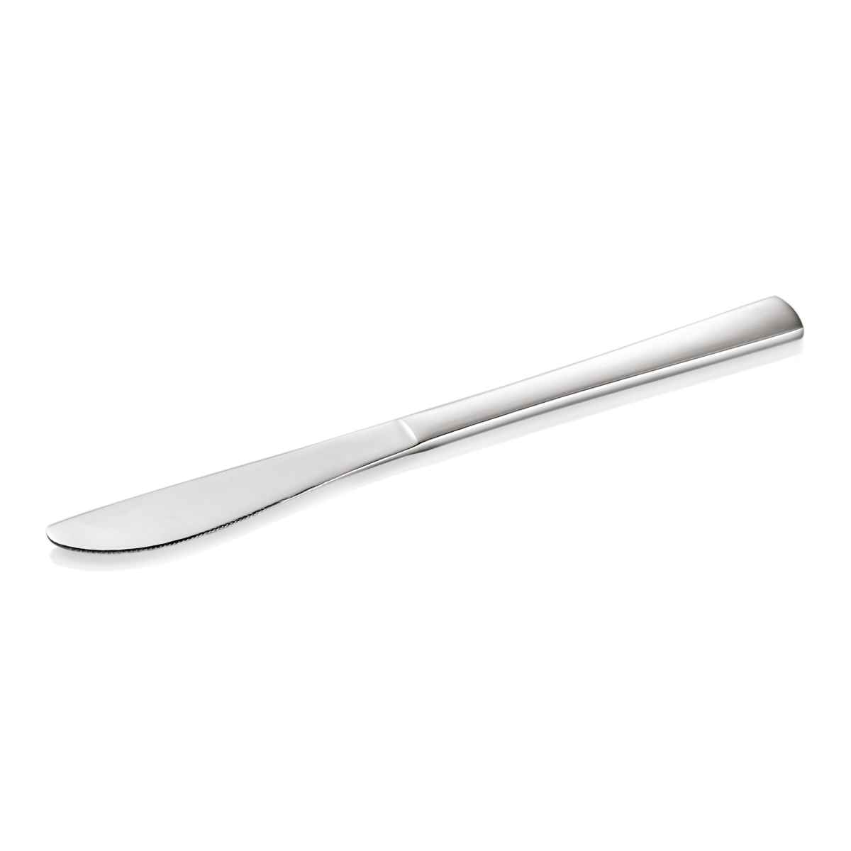 Lot de 12 Couteaux de table en Acier Chrome L 220 mm – Was Germany