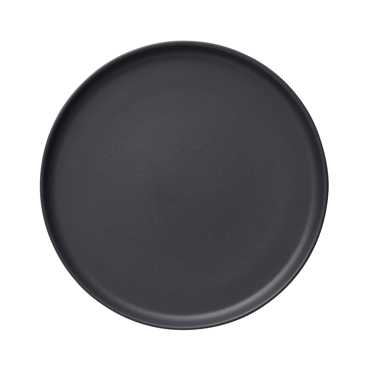 Lot de 6 assiettes en Grès Minuit H 30 mm Ø 280 mm – Was Germany