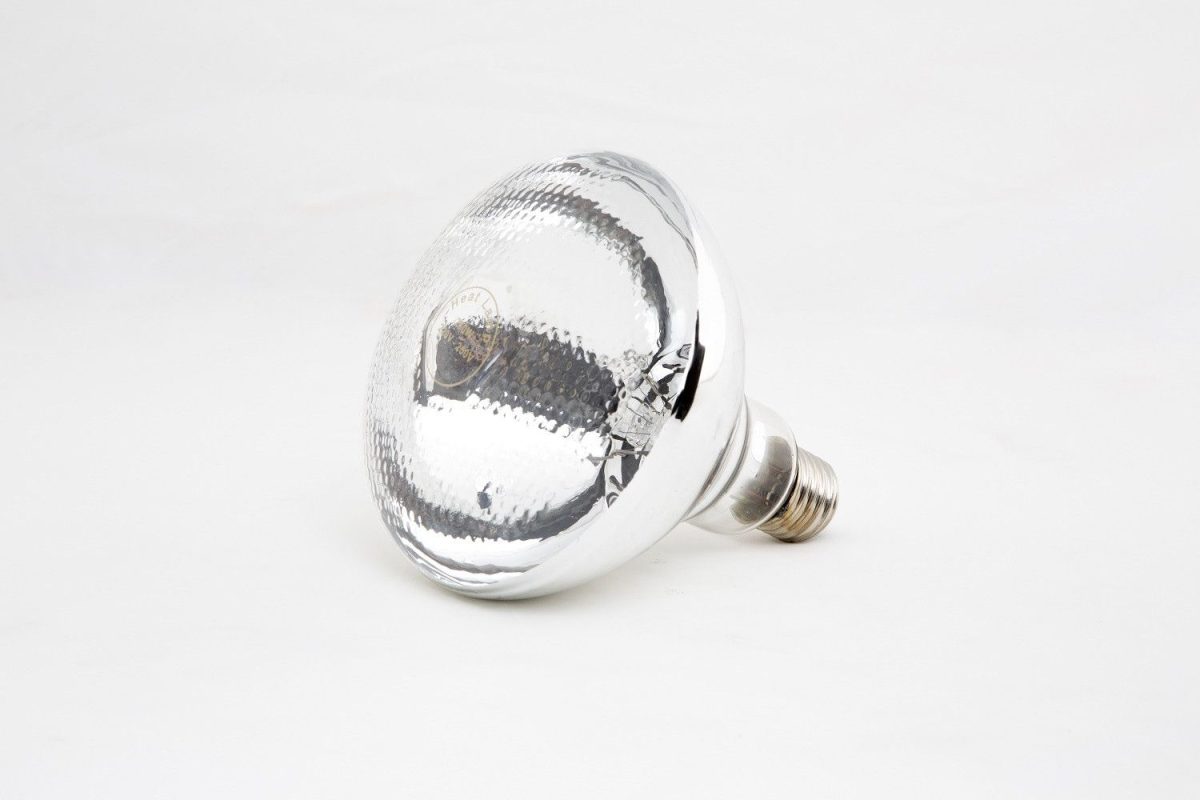 Ampoule pour Lampe Chauffante 250 W – Combisteel