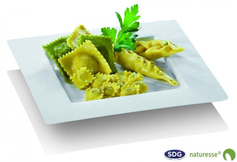 Assiette Pulpe de Cellulose Elégance 22,4x22,4 cm - SDG - Lot de 350 – Image 1