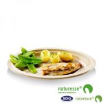 Assiette Pulpe de Cellulose Nature 18 à 26 cm - SDG - Lot de 500 – Image 4