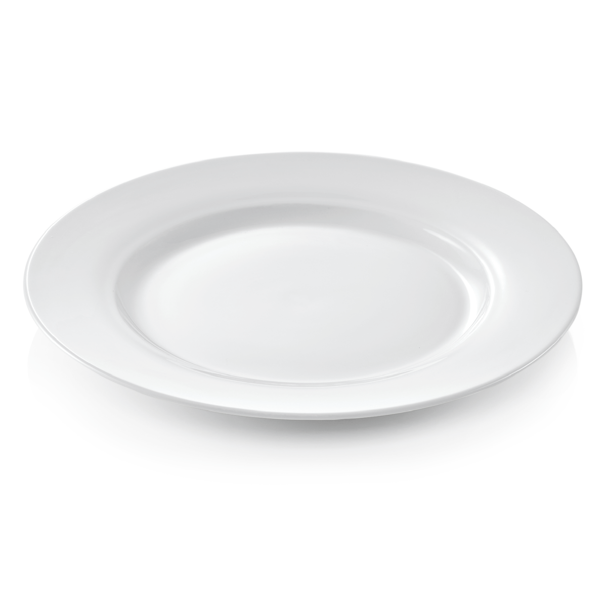 Lot de 12 Assiettes en Porcelaine Ø 270 mm – Was Germany