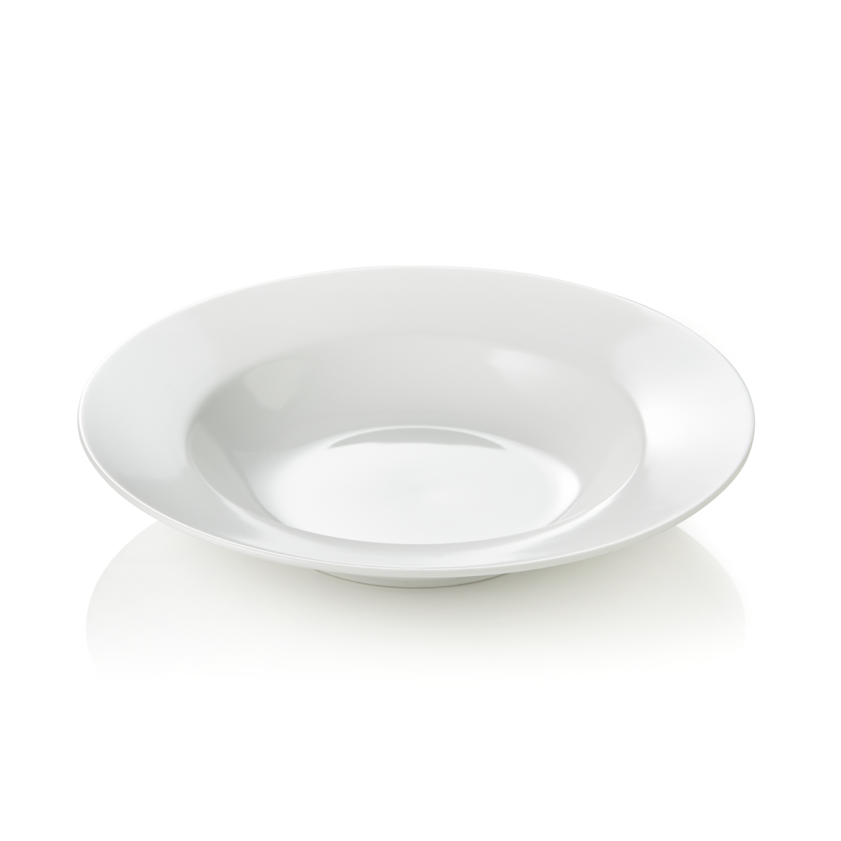 Lot de 12 Assiettes en Porcelaine Ø 230 mm – Was Germany