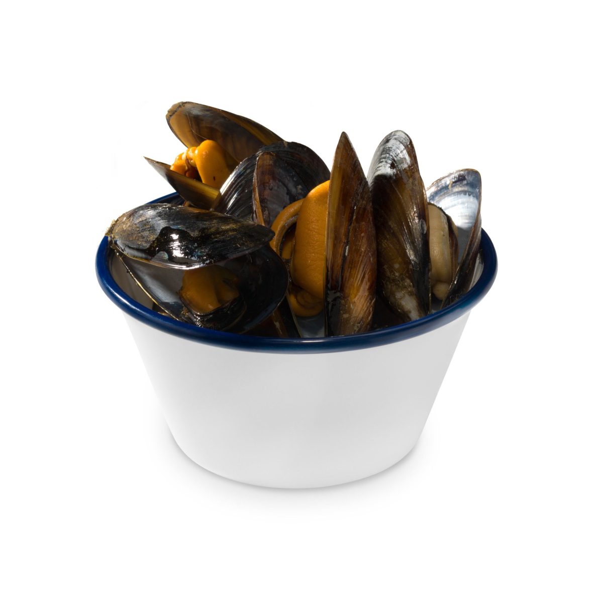 Bol Méditerranéen Mélamine Ø 12,5 cm – Pujadas