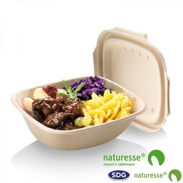Bol Rectangulaire Pulpe de Cellulose Nature 600 à 900 ml - SDG - Lot de 500 – Image 4