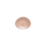 Assiette Ovale 15,4 x 12 cm Brisa - Lot de 6 - Costa Nova