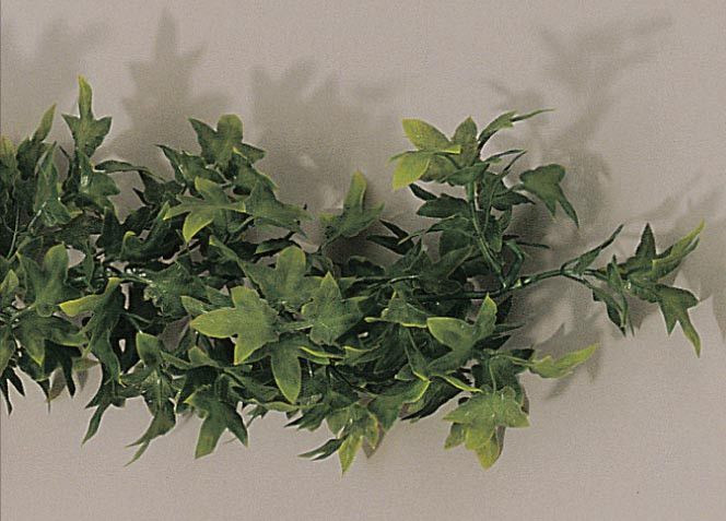 Guirlande de Lierre pour Vitrine L-2700 MM - L2G – Image 1