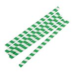 Pailles Jetables en Papier 21 cm - Fiesta Green - Lot de 250