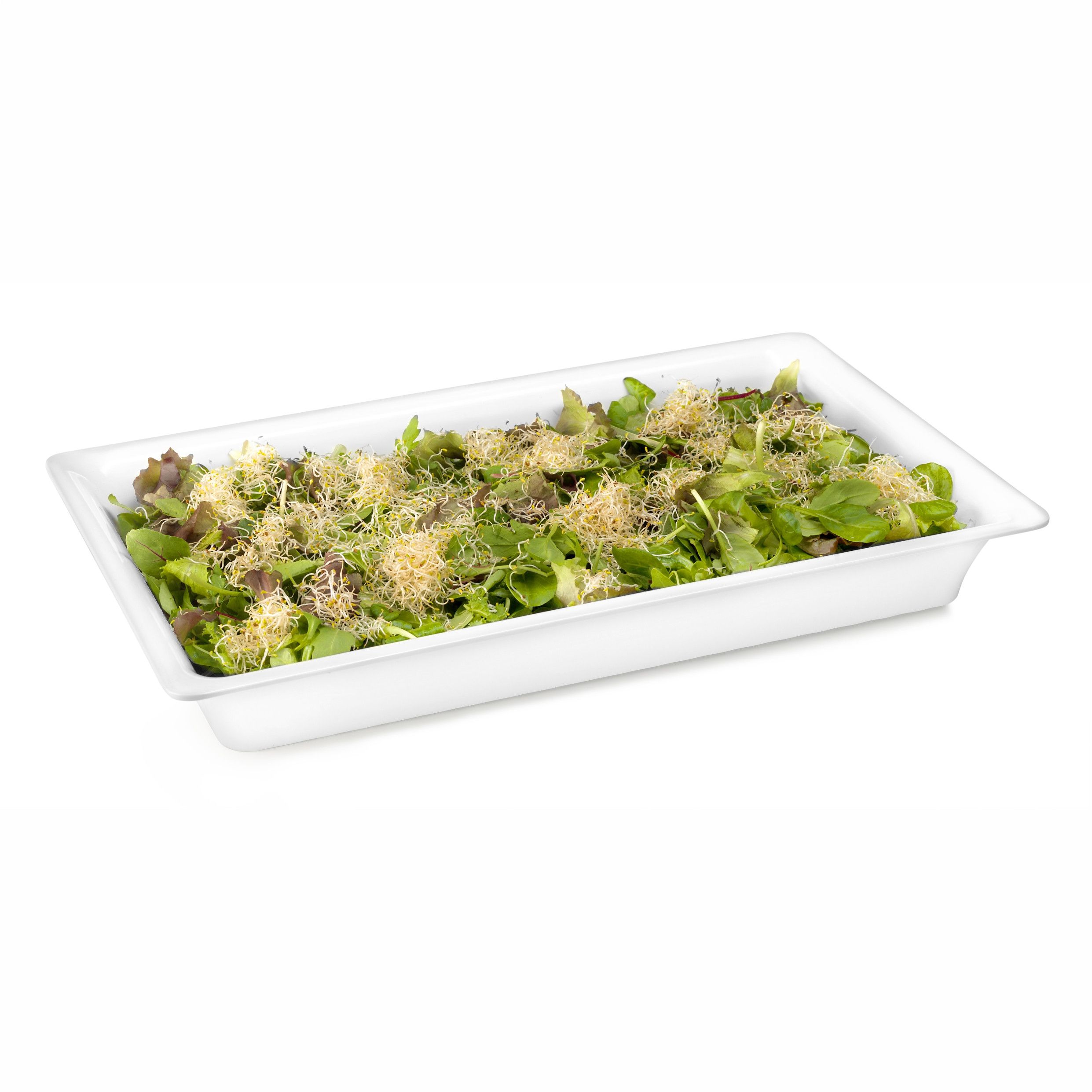 Plat Gastronorme en Mélamine GN 1/1 - H 20 à 100 mm - Pujadas – Image 2