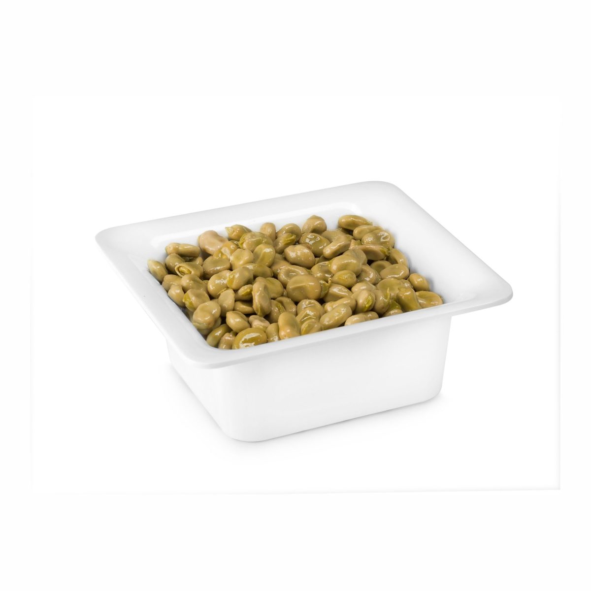 Plat Gastronorme en Mélamine GN 1/6 – H 65 à 100 mm – Pujadas