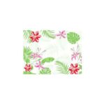 Set de Table Jetable 30x40 cm Tropiocal - Lot de 2 Colis de 1000 - Duni Sarl