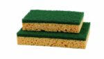 Tampon Vert Sur Eponge Gd Modèle - Lot de 10 - Guialto – Image 2