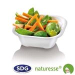 Barquette Carrée Pulpe de Cellulose Biodégradable 230 à 340 ml - SDG - Lot de 500 – Image 2