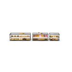Vitrine Professionnelle Neutre 2 Etagères sans LED - L 555 / 920 / 1200 mm - SAYL