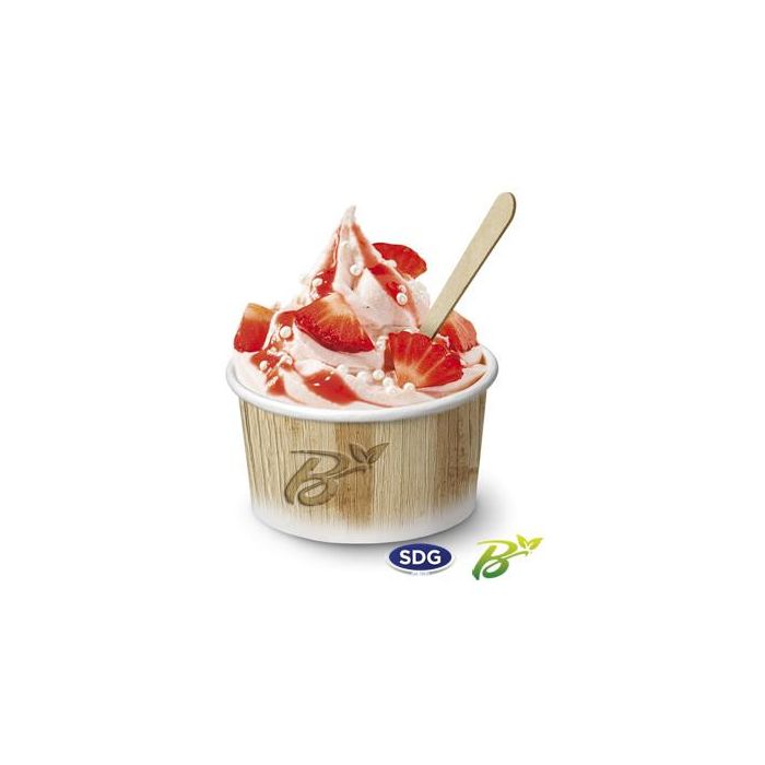 Pot de Glace en Carton Recyclable Nature 265 ml Lot de 1350 – SDG