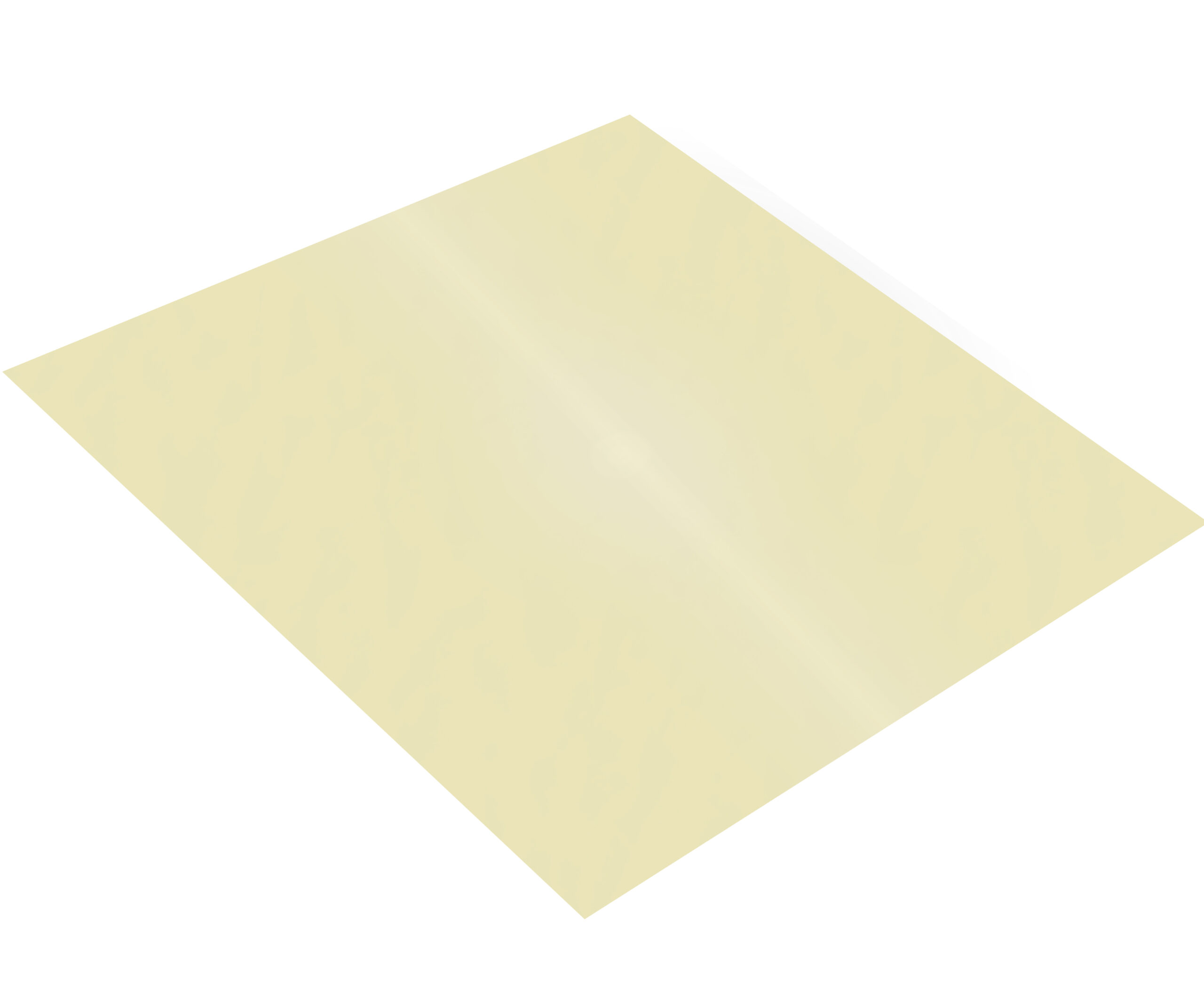 Feuille engluée CDG20 - Casselin Feuille engluée CDG20 - Casselin
